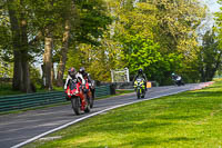 Middle Group Red Bikes